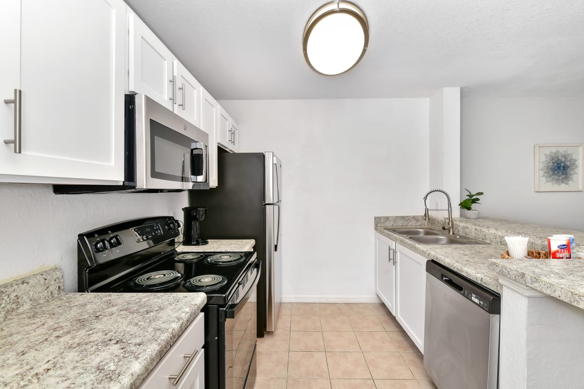 Apartments For Rent in Rosemont, FL Village Lakes Photos